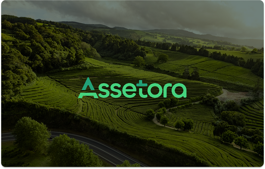 Green hills, "Assetora" logo.